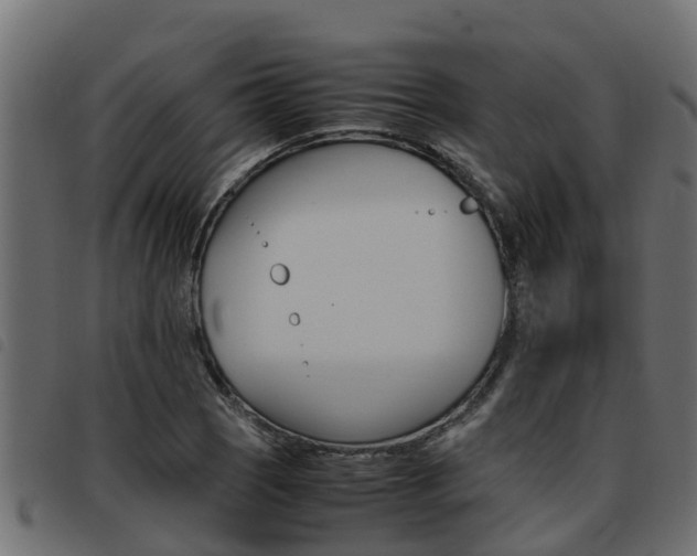 X0000093431121200710120912