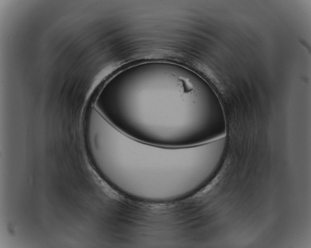 X0000093431122200710120912