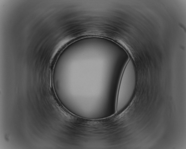 X0000093431123200710120912