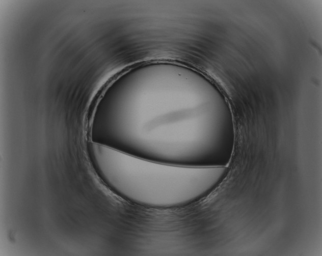 X0000093431124200710120912