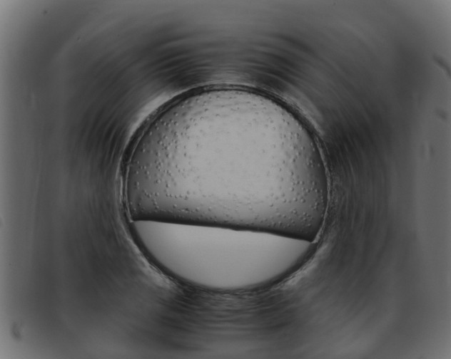 X0000093431125200710120912