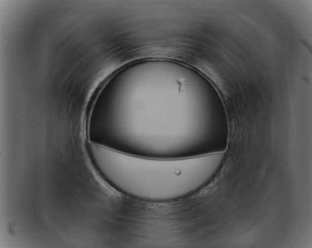 X0000093431128200710120912