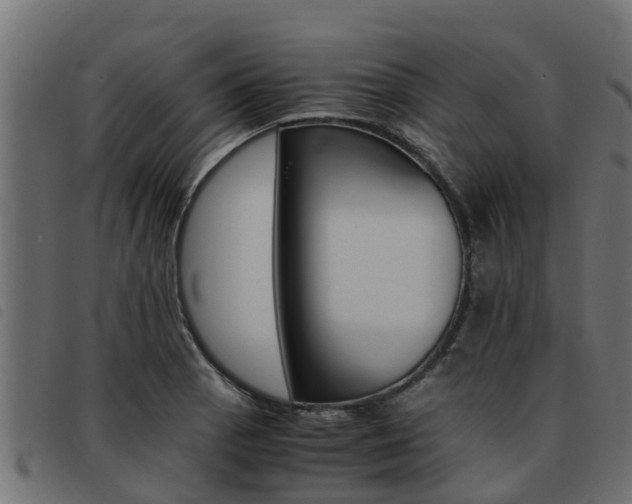 X0000093431129200710120912