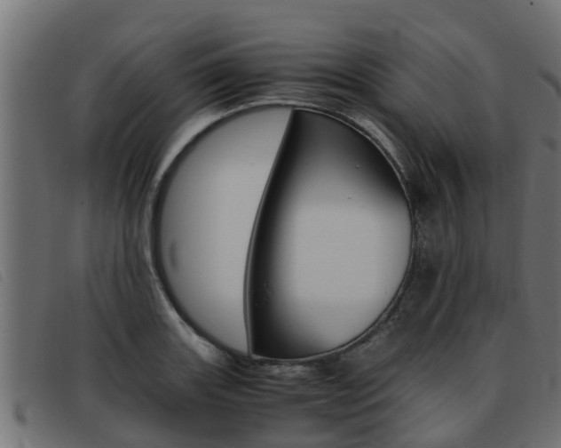 X0000093431131200710120912