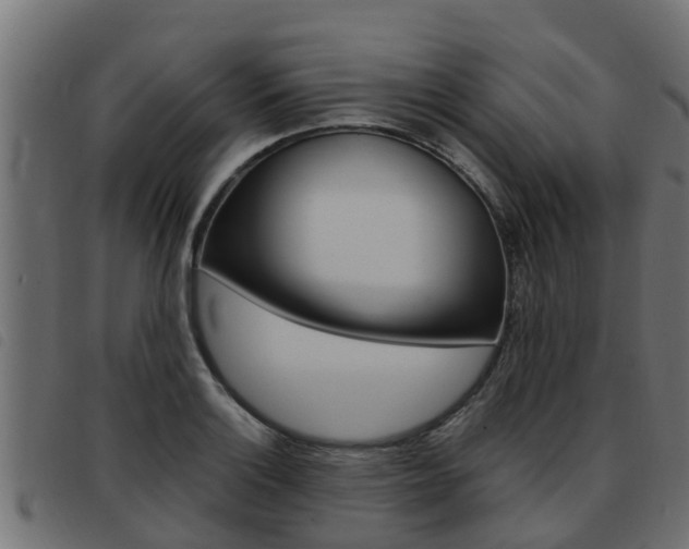 X0000093431132200710120912