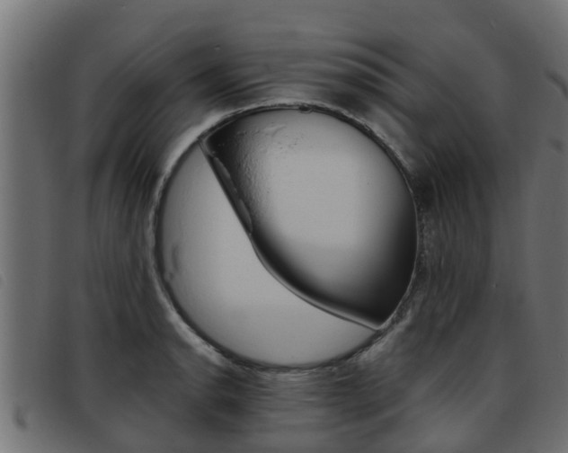 X0000093431134200710120912