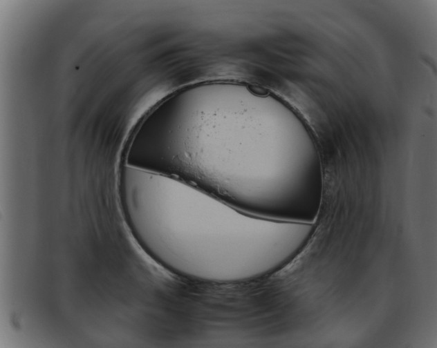 X0000093431135200710120912