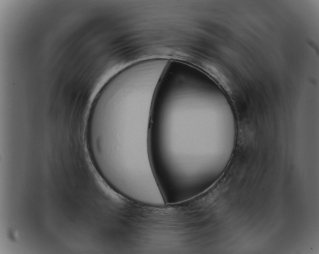 X0000093431136200710120912