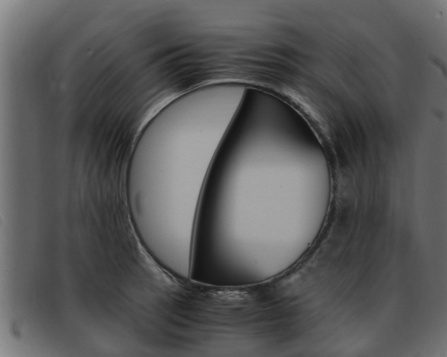 X0000093431137200710120912
