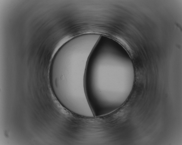 X0000093431138200710120912