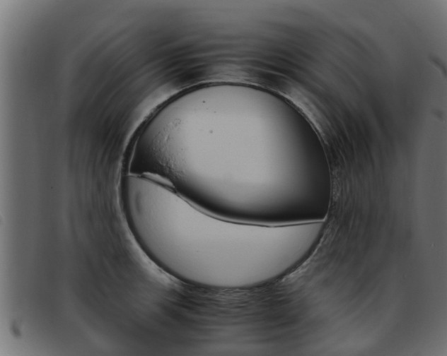 X0000093431139200710120912