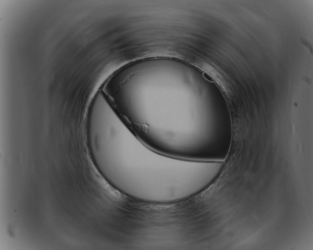 X0000093431140200710120912