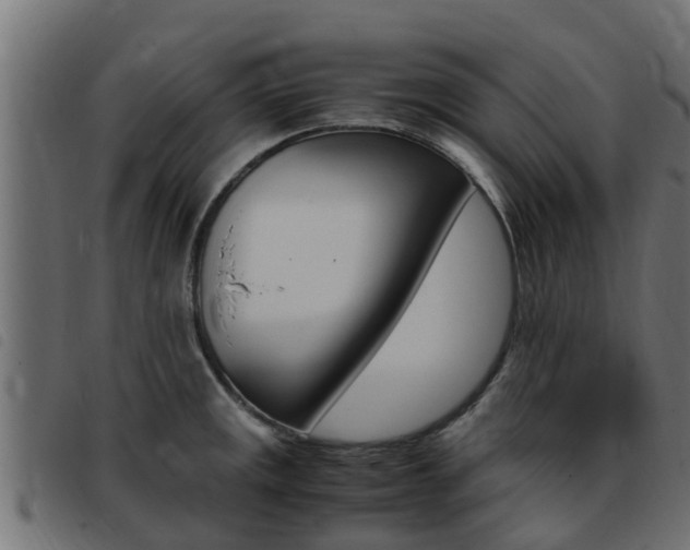 X0000093431141200710120912