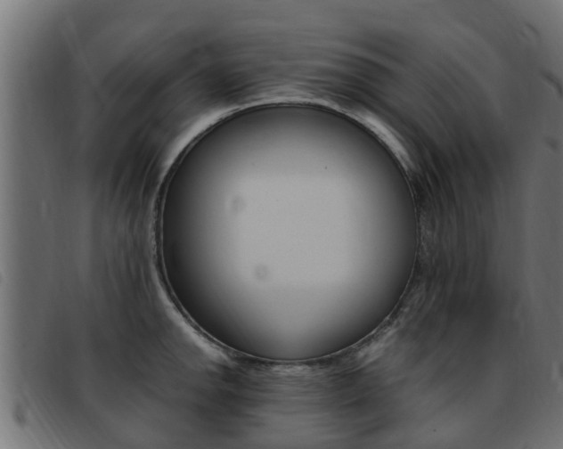 X0000093431142200710120912