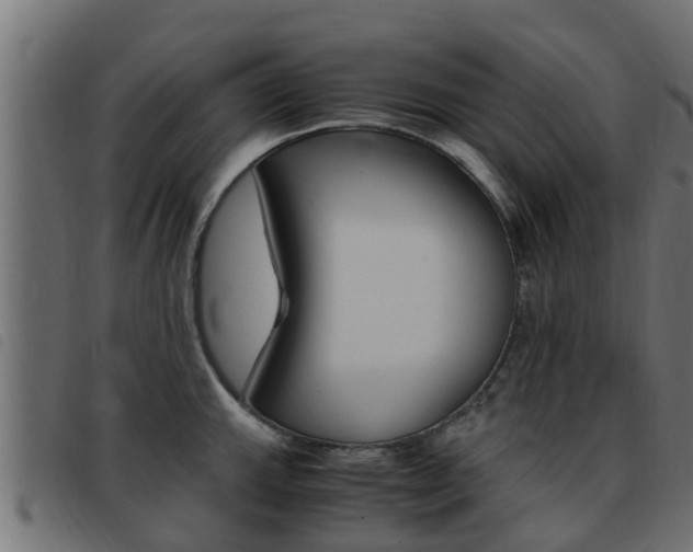 X0000093431143200710120912