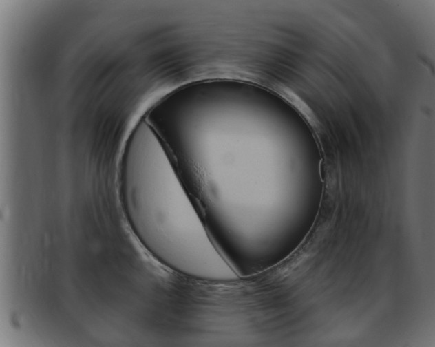 X0000093431144200710120912