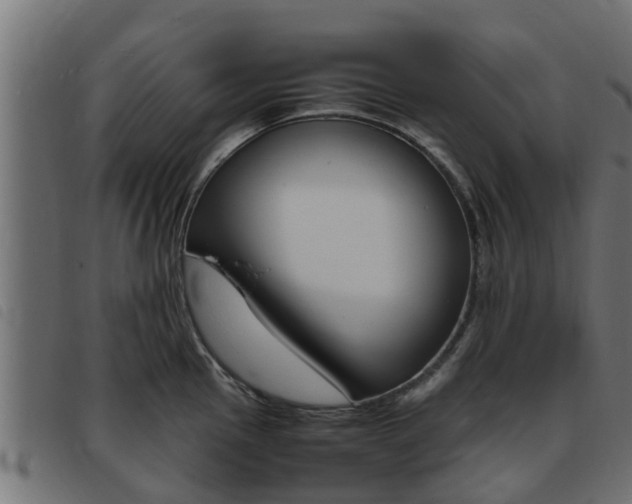 X0000093431145200710120912