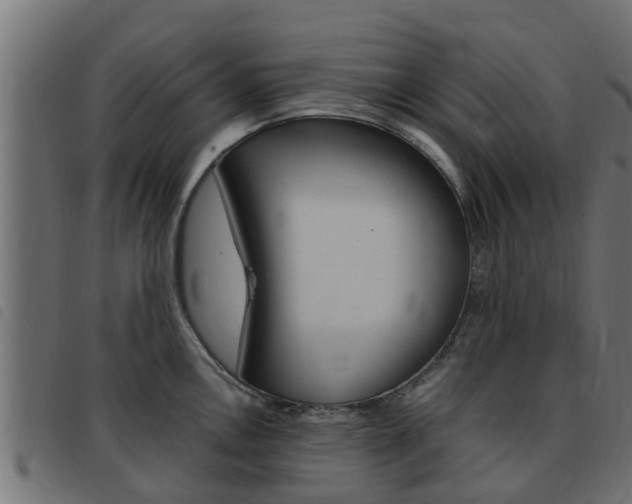X0000093431146200710120912