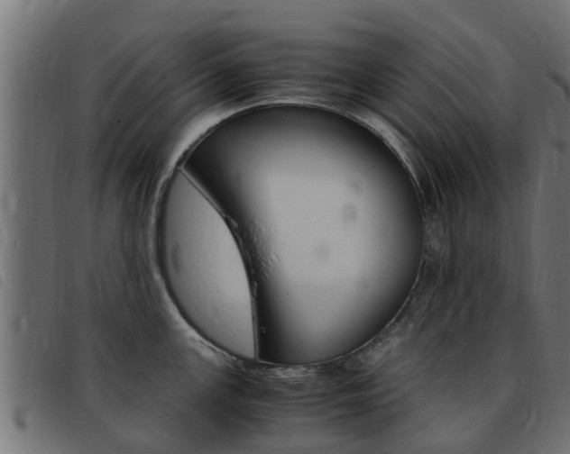 X0000093431147200710120912