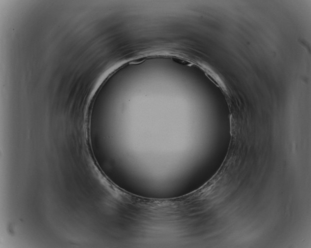 X0000093431148200710120912