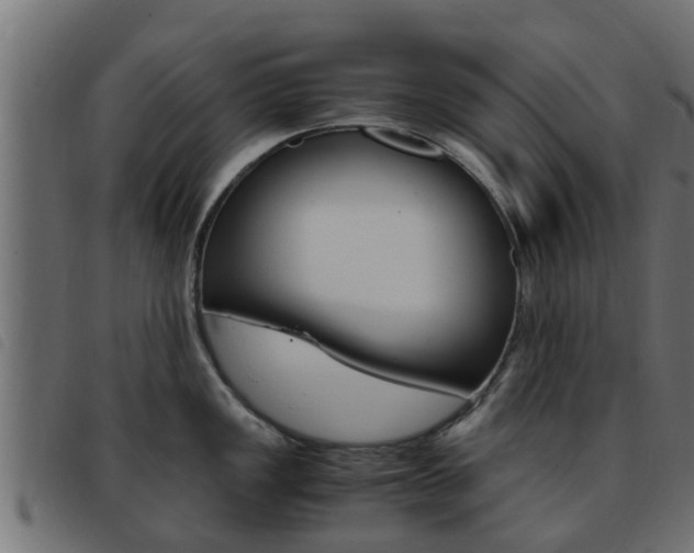 X0000093431149200710120912