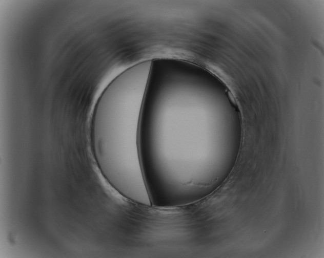 X0000093431152200710120912