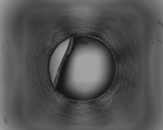 X0000093431153200710120912