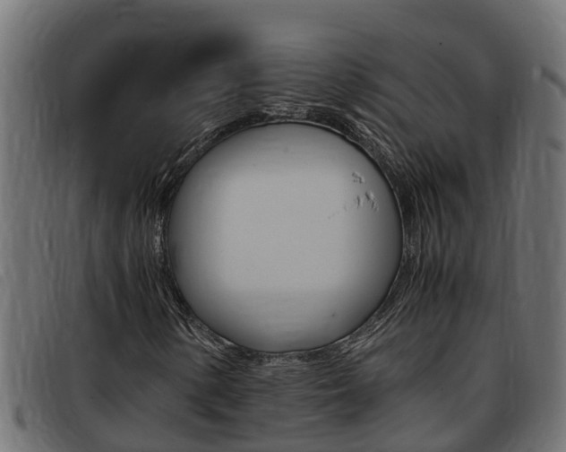 X0000093431154200710120911