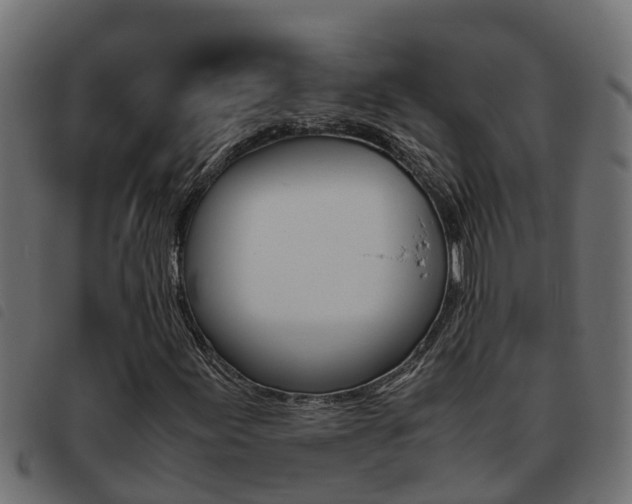 X0000093431155200710120911