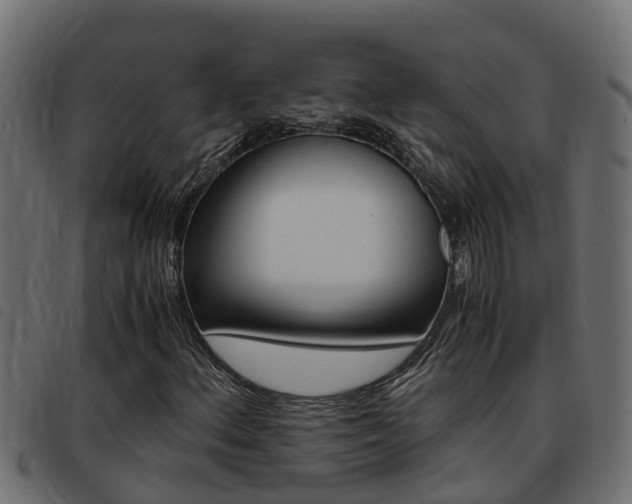 X0000093431156200710120911