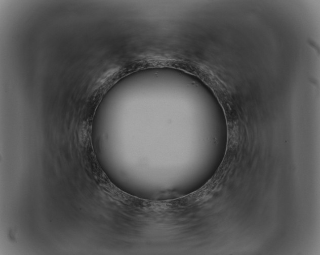 X0000093431157200710120911