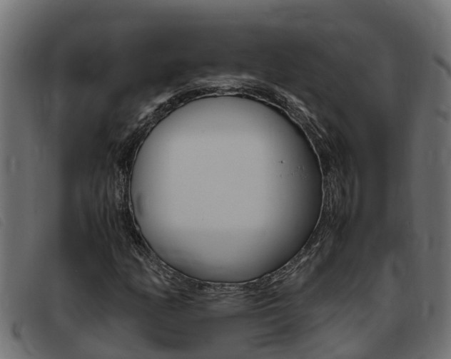 X0000093431158200710120911