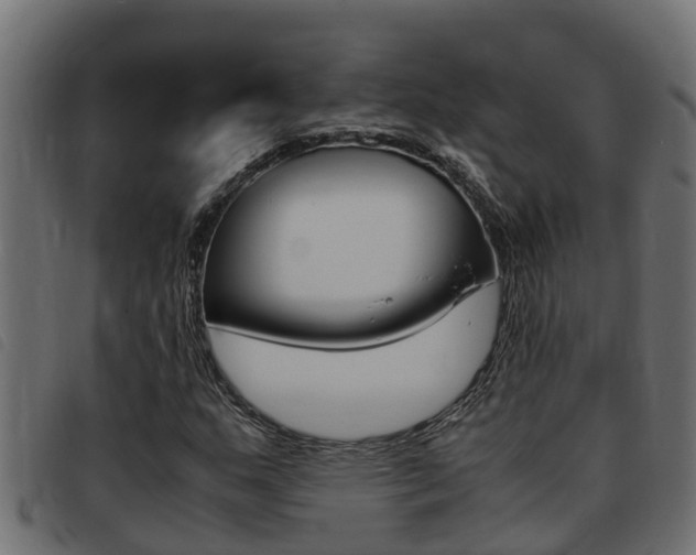 X0000093431159200710120911