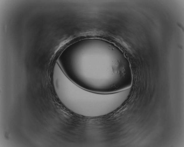 X0000093431160200710120911