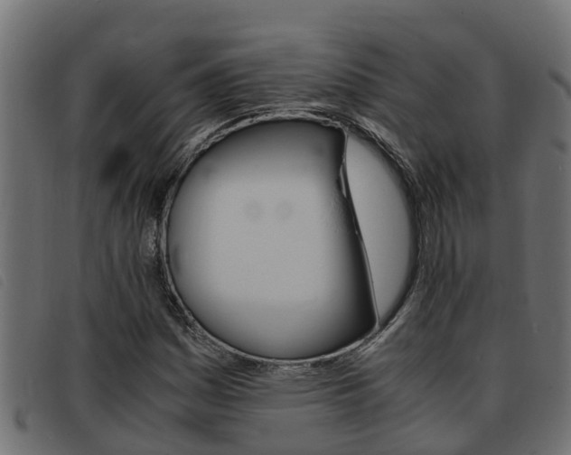 X0000093431161200710120911