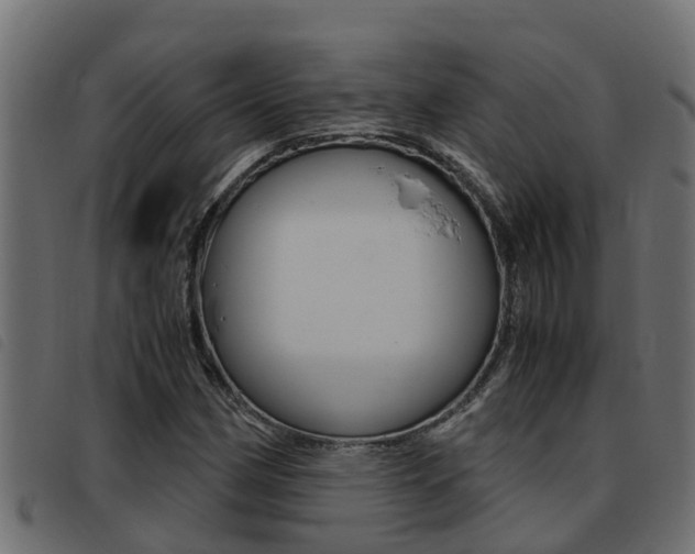 X0000093431162200710120911
