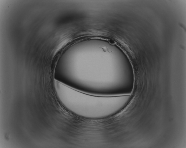 X0000093431163200710120911