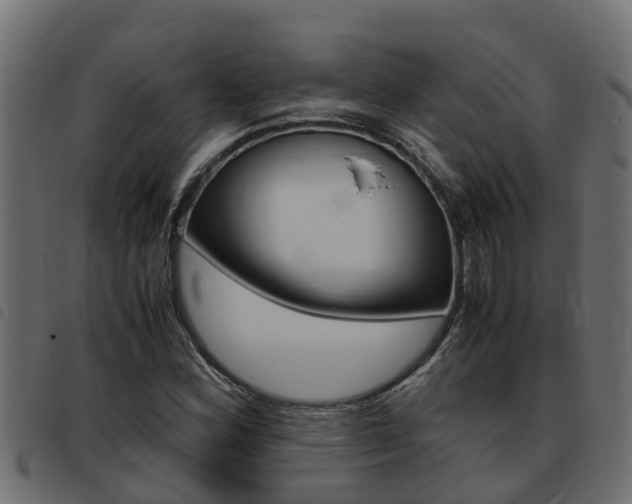 X0000093431164200710120911