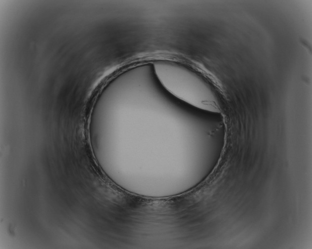 X0000093431166200710120911