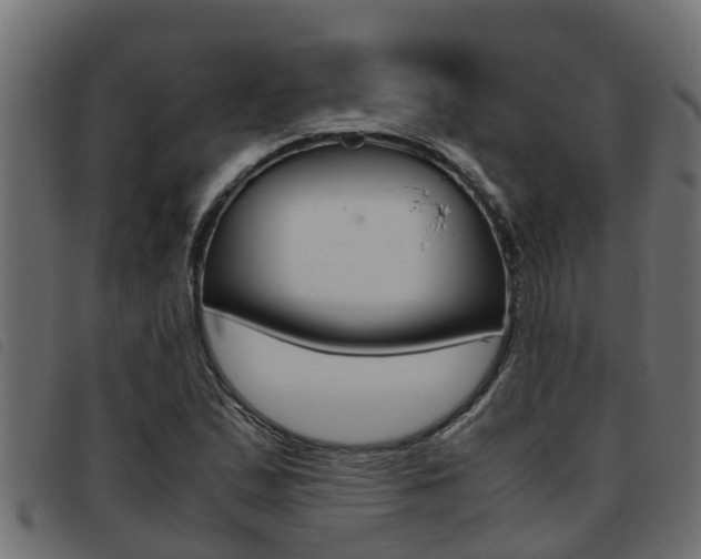 X0000093431167200710120911