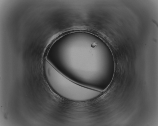 X0000093431168200710120911