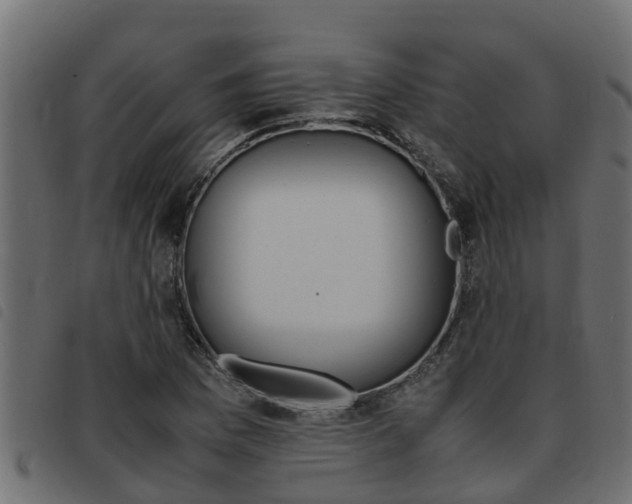 X0000093431169200710120911