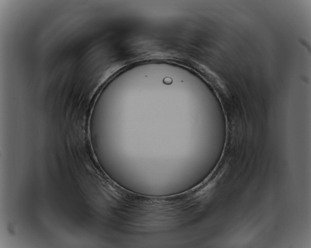 X0000093431170200710120911