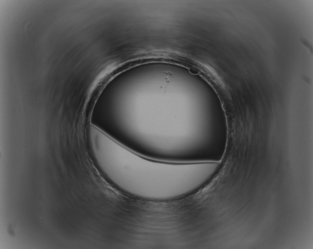 X0000093431172200710120911