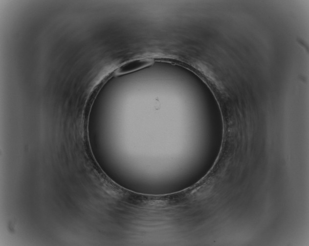 X0000093431173200710120911