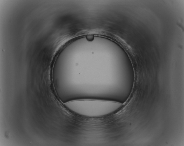 X0000093431174200710120911