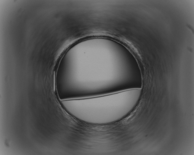 X0000093431175200710120911