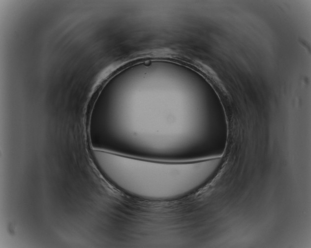 X0000093431176200710120911