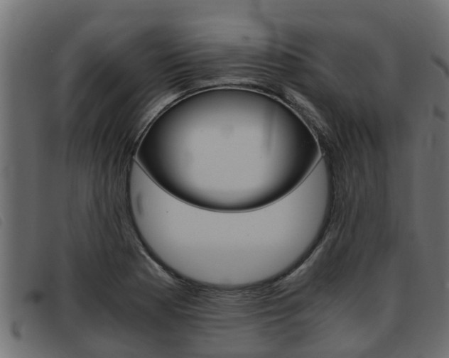 X0000093431177200710120911
