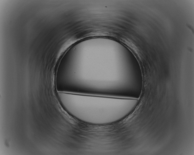 X0000093431179200710120911